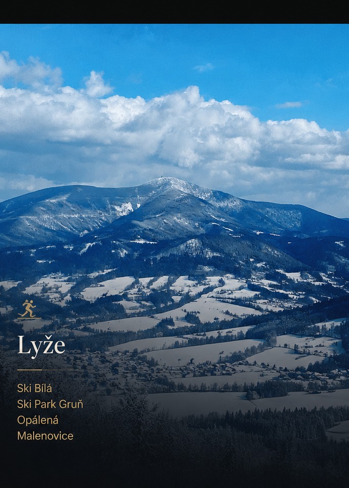 Lyže